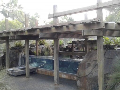 Auckland Zoo Eel Enclosure
